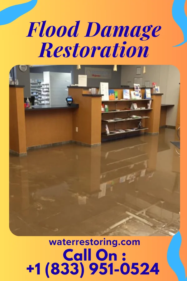 Flood Damage Restoration in Baileyville, PA