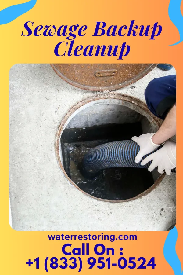 Sewage Backup Cleanup in Baileyville, PA